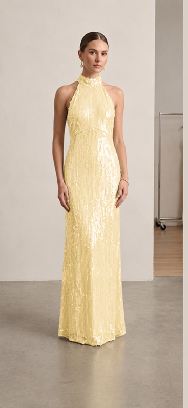 SEQUINED OPEN BACK LONG DRESS